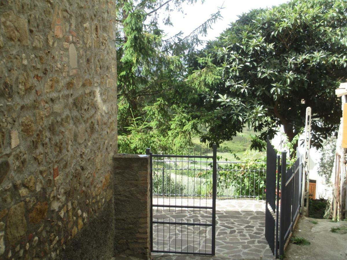 Casa Valeria Villa Cinigiano Bagian luar foto